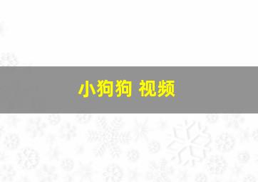 小狗狗 视频